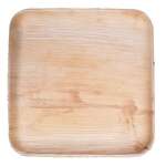 VerTerra Dinnerware VerTerra 01-20-25B-X 9-inch Eco-Friendly Square Palm Leaf Plate, 25/PK