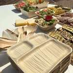 VerTerra 02-25-03C 9-inch Eco-Friendly Square 3-Compartment Palm Leaf Plate, 250/CS