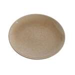 Yanco AG-109 9x0.875-Inch Agate Porcelain Coupe Shape Round Plate, 24/CS