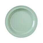 Yanco NS-105G 5.5-Inch Nessico Melamine Round Green Plate, 48/CS